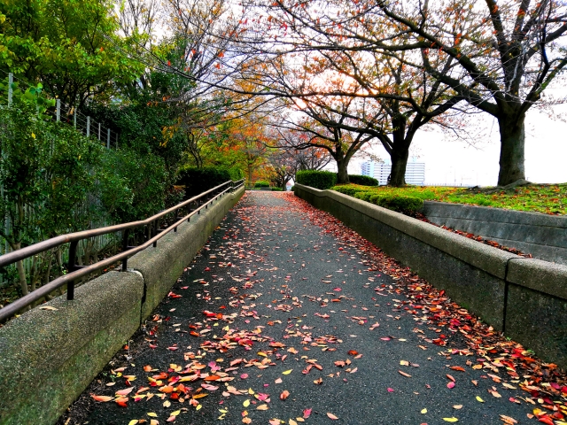 坂道の斜面が大きいほど、危険が増します。